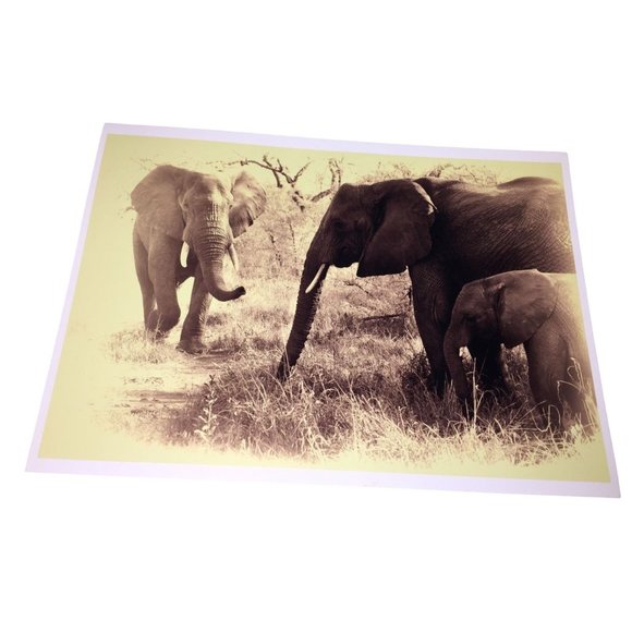 Beautiful Sepia Tone Elephant Photo Print -  Adult and Juvenile Elephant 16 x 11 - Picture 1 of 9